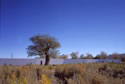 CABALLERIZAS